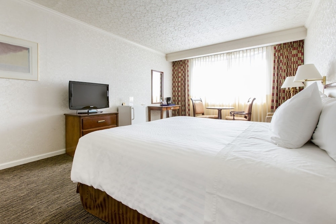 Imagen de la habitación del Hotel JJ Grand - Wilshire. Foto 6