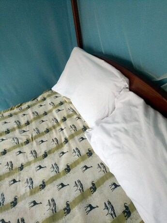 Imagen general del Hotel JK Lodge. Foto 10