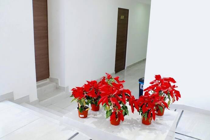 Imagen general del Hotel JM Express. Foto 6