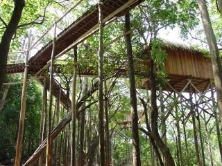 Imagen de los exteriores del Hotel JUMA LODGE. Foto 4