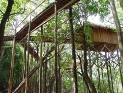 Imagen de los exteriores del Hotel JUMA LODGE. Foto 6