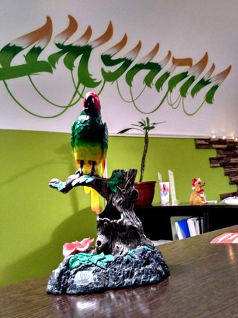 Imagen general del Hotel JUNGLE - Hostel. Foto 1
