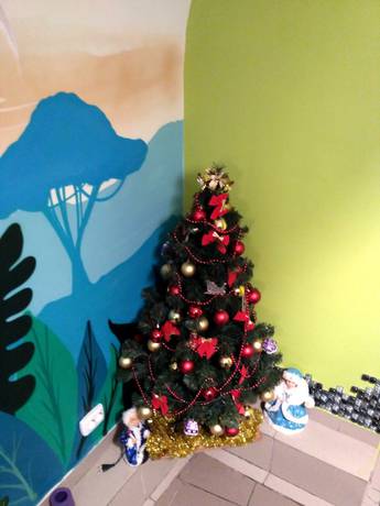 Imagen de los interiores del Hotel JUNGLE - Hostel. Foto 20