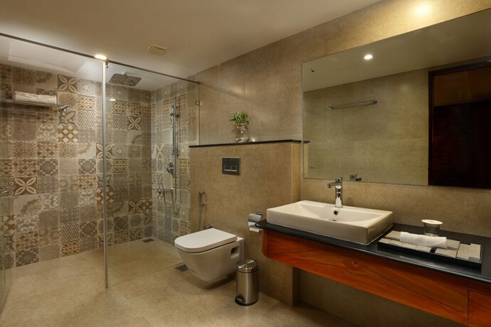 Imagen de la habitación del Hotel JVK Park. Foto 21