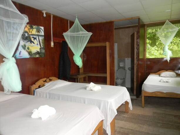 Imagen de la habitación del Hotel Jacamar Lodge Expeditions. Foto 12
