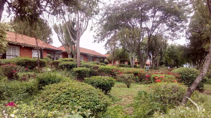 Imagen de la habitación del Hotel Jacaranda Lake Elementaita Lodge. Foto 5