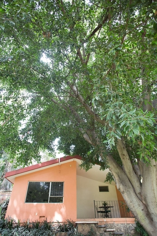 Imagen de la habitación del Hotel Jacarandas, Cuernavaca. Foto 17
