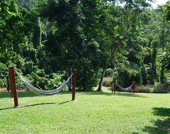 Imagen de la habitación del Hotel Jackaroo Treehouse Mission Beach. Foto 2