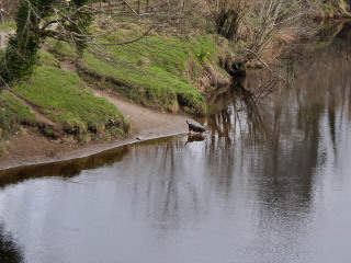Imagen general del Hotel Jackson Ballybofey. Foto 2