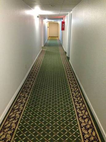 Imagen de la habitación del Hotel Jackson, MACOMB. Foto 3