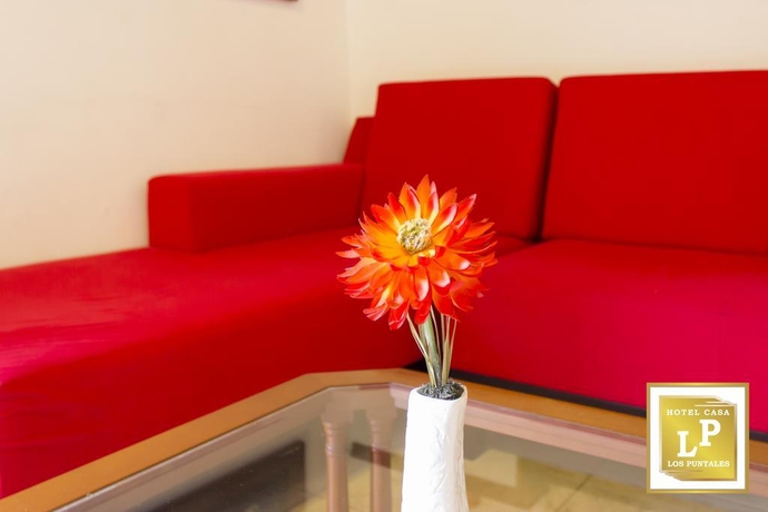 Imagen general del Hotel Jadi Los Puntales. Foto 6