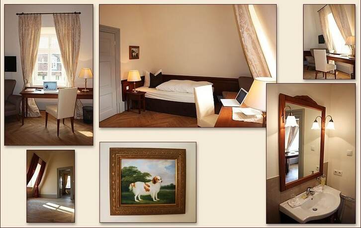 Imagen de la habitación del Hotel Jagdschloss Moenchbruch. Foto 15