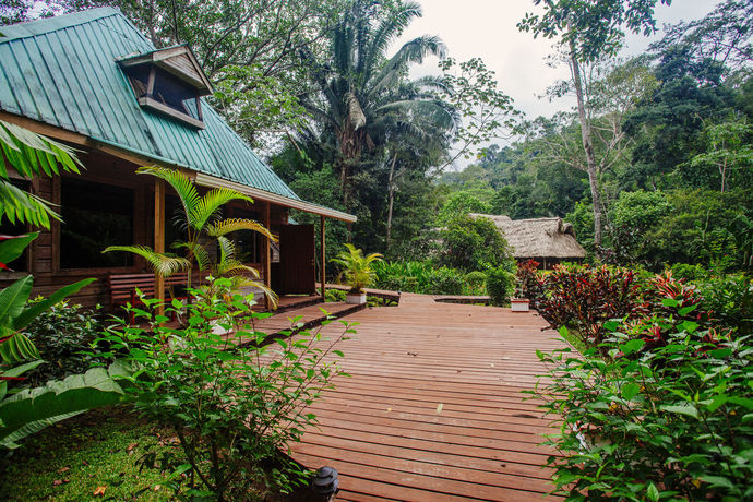 Imagen de los interiores del Hotel Jaguar Creek. Foto 7