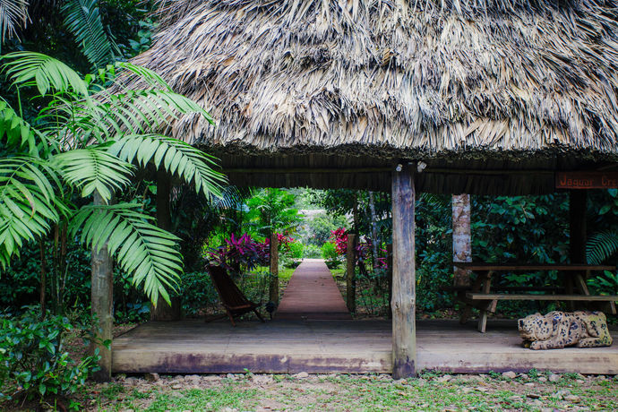 Imagen de los interiores del Hotel Jaguar Creek. Foto 11