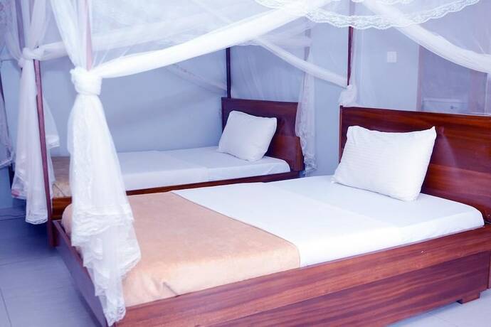 Imagen general del Hotel Jaguar Guest House. Foto 2