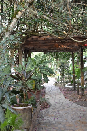 Imagen de los interiores del Hotel Jaguar Inn Tikal. Foto 19