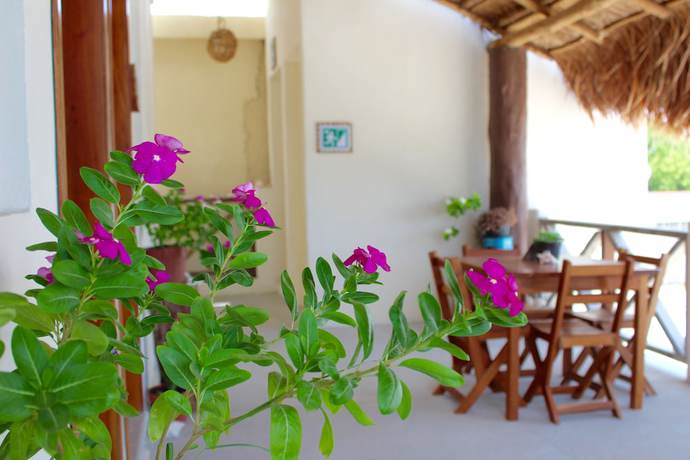 Imagen de la habitación del Hotel Jaiba Mahahual. Foto 3