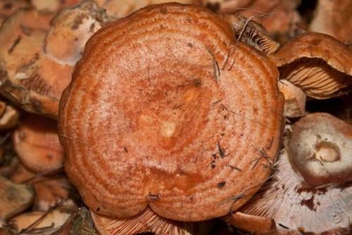 Imagen general del Hotel Jaime I, Mora de Rubielos. Foto 5