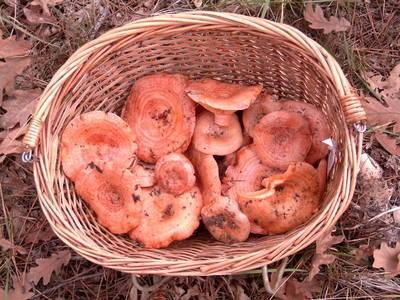 Imagen general del Hotel Jaime I, Mora de Rubielos. Foto 12