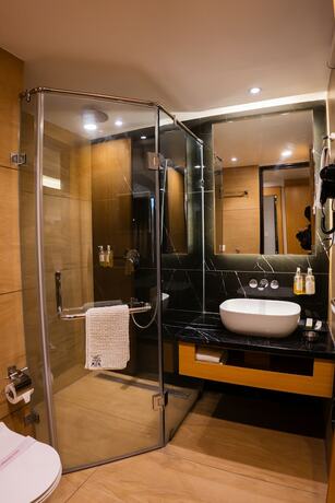 Imagen general del Hotel Jain\'s Rajhans. Foto 9