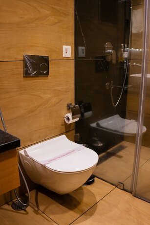 Imagen general del Hotel Jain\'s Rajhans. Foto 18