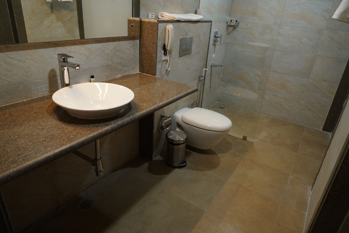 Imagen de la habitación del Hotel Jaipur Central. Foto 6