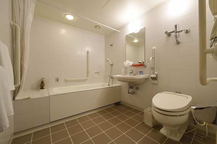 Imagen de la habitación del Hotel Jal City Miyazaki. Foto 18