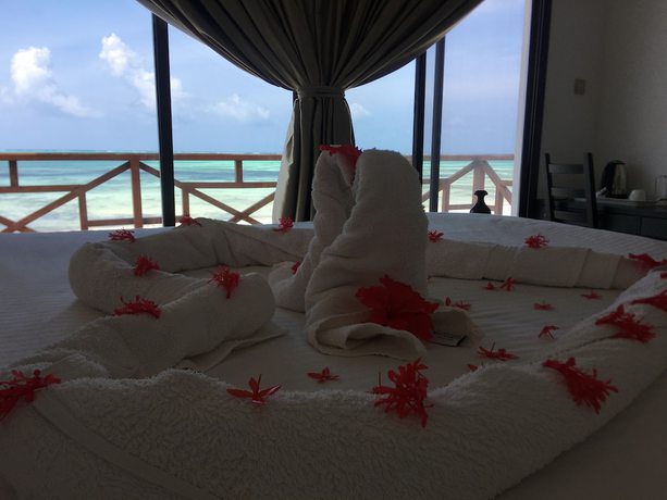 Imagen de la habitación del Hotel Jambiani White Sands Beach Bungalows. Foto 5