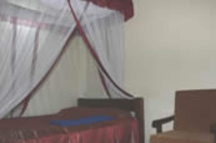 Imagen de la habitación del Hotel Jambo Paradise. Foto 1