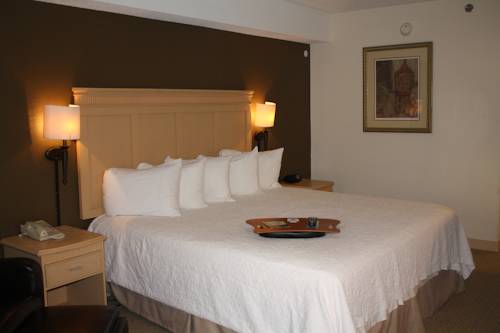 Imagen de la habitación del Hotel Jameson Inn - Brunswick. Foto 2