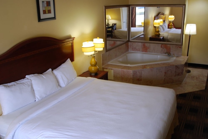 Imagen de la habitación del Hotel Jameson Inn and Suites Riverdale. Foto 8