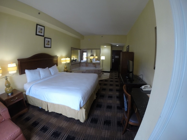 Imagen de la habitación del Hotel Jameson Inn and Suites Riverdale. Foto 13