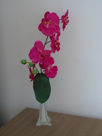 Imagen de la habitación del Hotel Jampa Mar. Foto 12