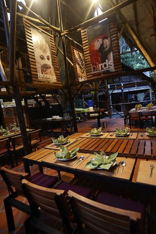 Imagen del bar/restaurante del Hotel Jamu Lodge. Foto 5