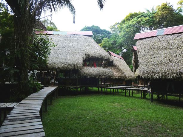 Imagen general del Hotel Jamu Lodge. Foto 1