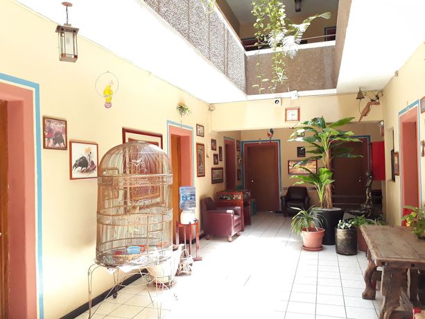 Imagen de la habitación del Hotel Janeiro, Tonal&aacute;. Foto 17
