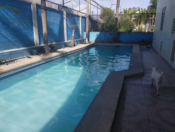 Imagen de la piscina del Hotel Janica Villa. Foto 20