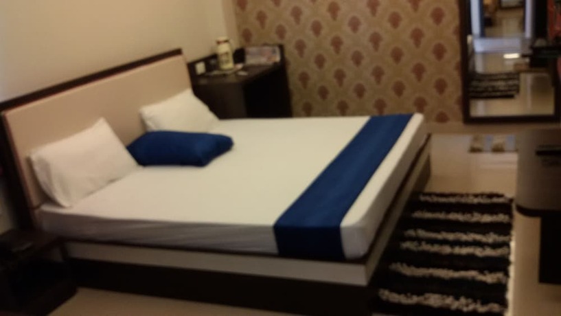Imagen general del Hotel Janki International. Foto 12