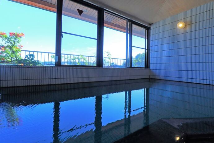 Imagen general del Hotel Japanese Inn Iwaso. Foto 13