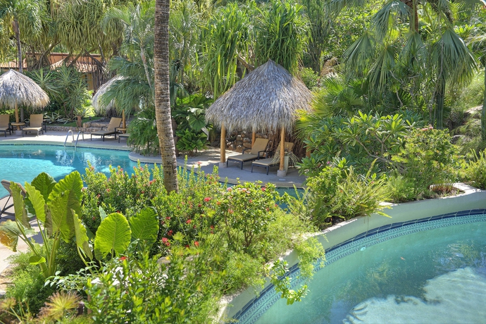 Imagen de la piscina del Hotel Jardín Del Edén Boutique - Adults Only. Foto 15