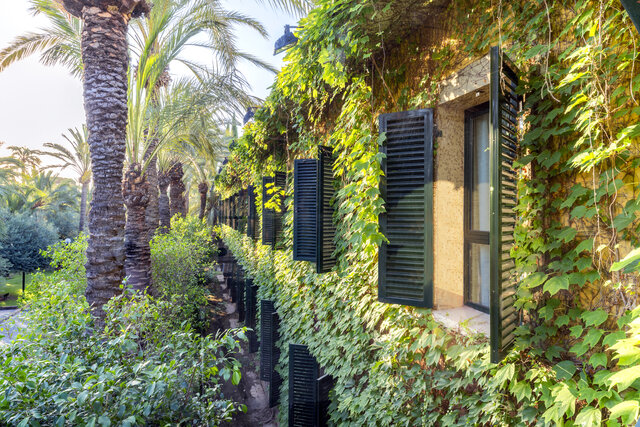 Imagen de los exteriores del Hotel Jardín Milenio. Foto 5