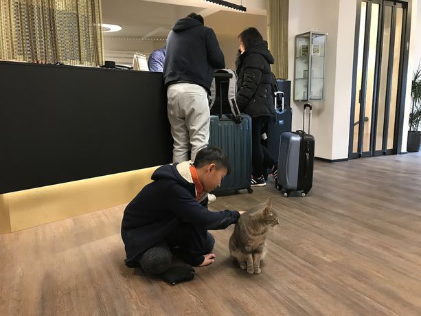 Imagen de los interiores del Hotel Jardin Bern. Foto 16