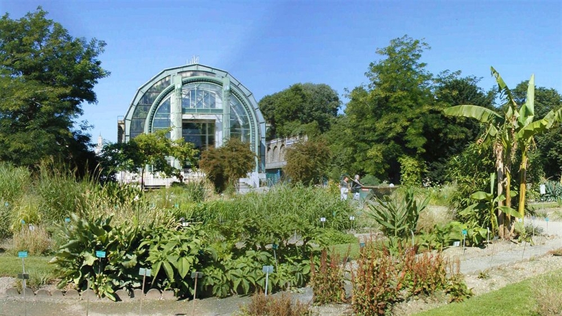 Imagen de los exteriores del Hotel Jardin Des Plantes. Foto 9