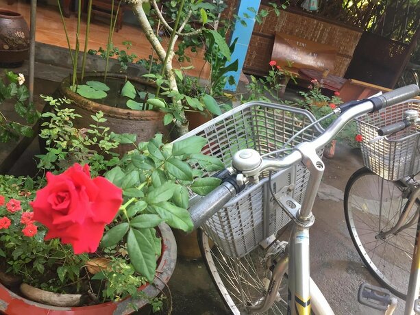 Imagen general del Hotel Jardin Du Mekong Homestay. Foto 3