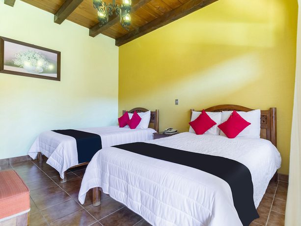 Imagen de la habitación del Hotel Jardin de Tereza. Foto 2