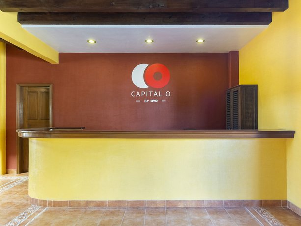 Imagen de los interiores del Hotel Jardin de Tereza. Foto 17