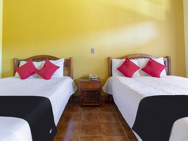 Imagen de la habitación del Hotel Jardin de Tereza. Foto 10