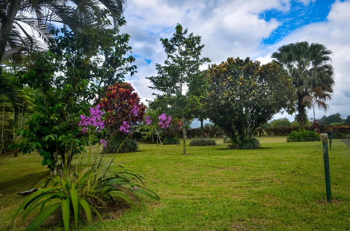 Imagen de los exteriores del Hotel Jardines Arenal. Foto 15