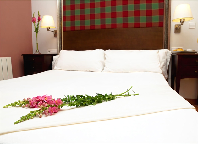 Imagen de la habitación del Hotel Jardines De La Santa. Foto 12