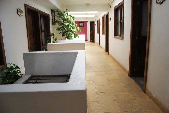 Imagen de los interiores del Hotel Jardines De Luz. Foto 15